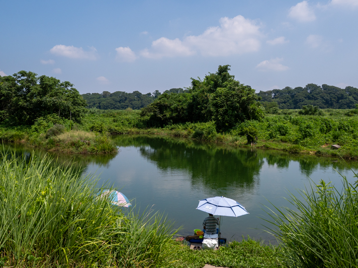 相模川緑地公園