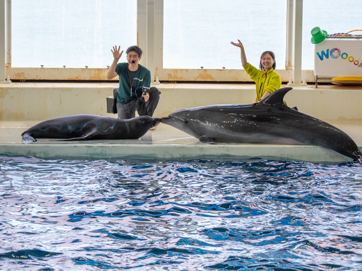大洗水族館
