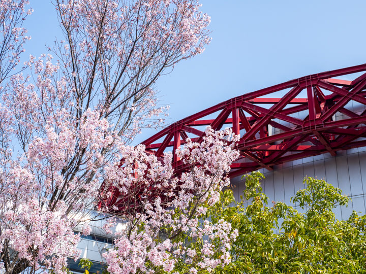 本郷台（あーすぷらざ）