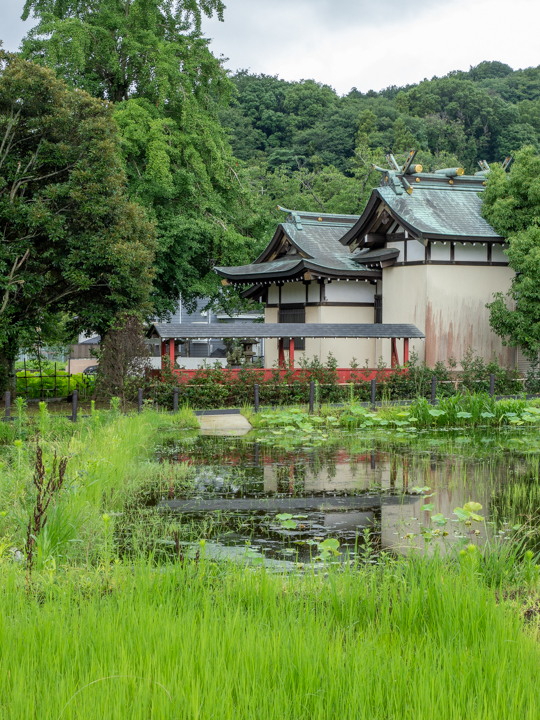小山田蓮田緑地公園